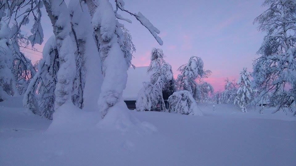 Дома для отпуска Galdotieva-SEO Leppäjärvi-30